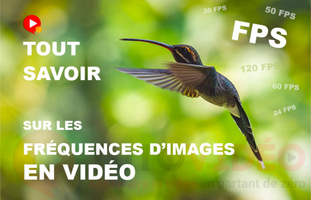 Tout savoir sur les fréquences d’images en vidéo